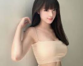 资料咨询方案